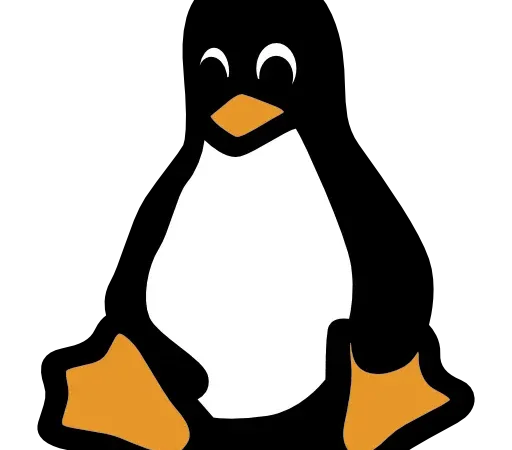 Virtual Linux Administration Services